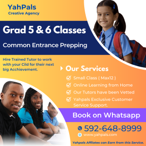 Grade 5 & 6 Online Classes